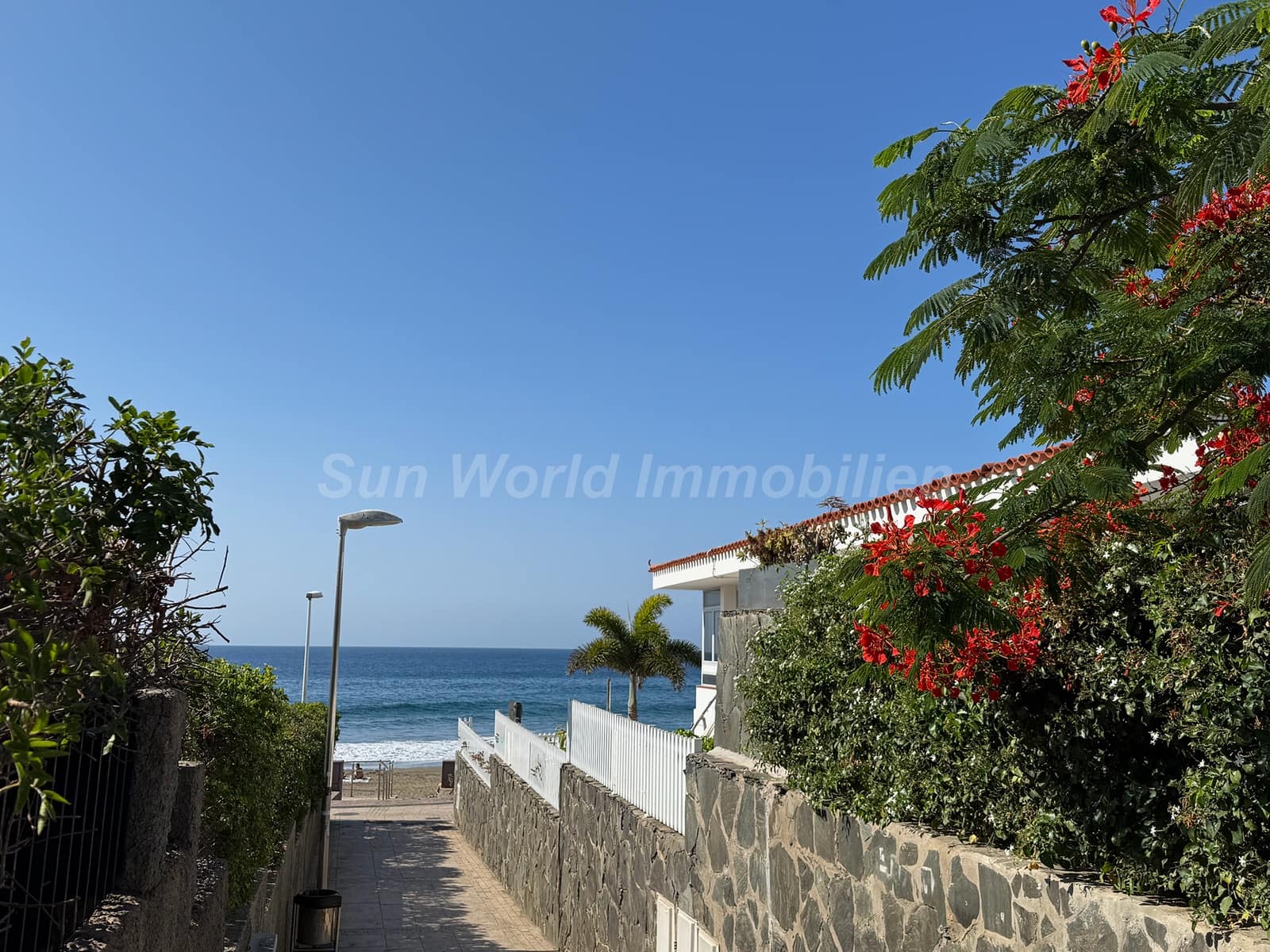 1 soverom Bungalow til leie i San Agustin - € 1 300 (Ref: 9977973)