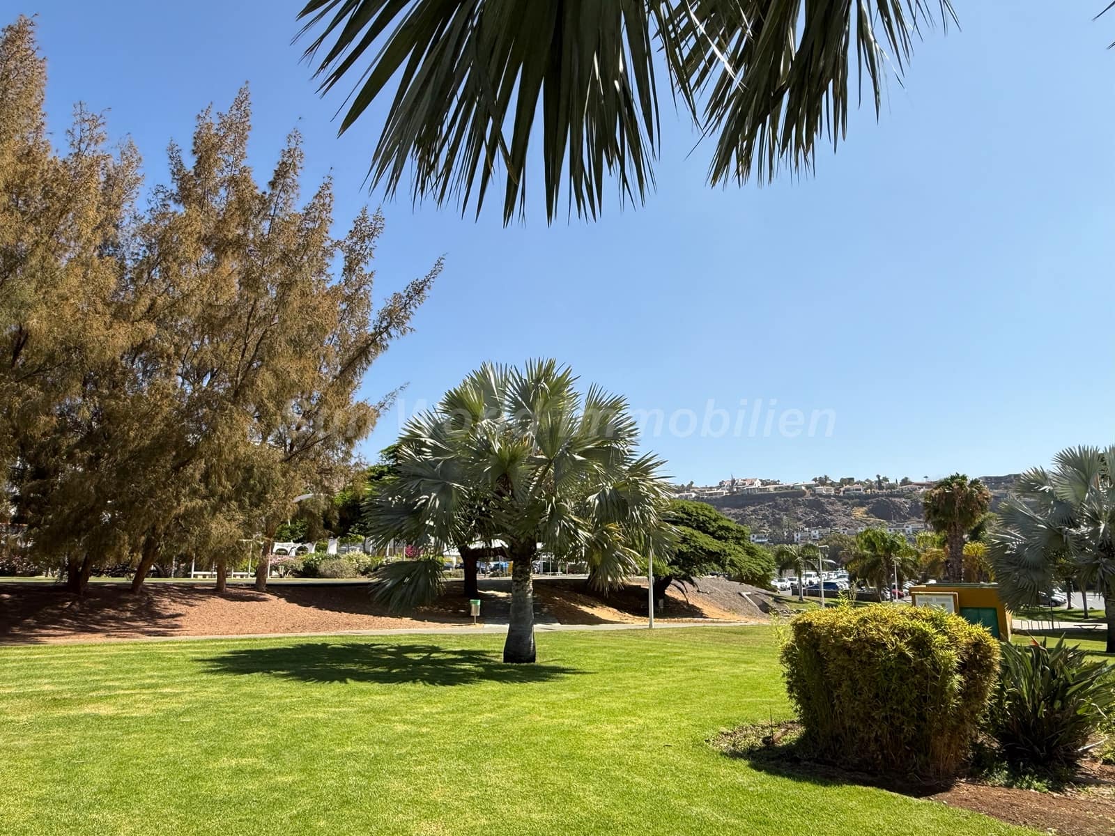 1 soverom Bungalow til leie i San Agustin - € 1 300 (Ref: 9977973)