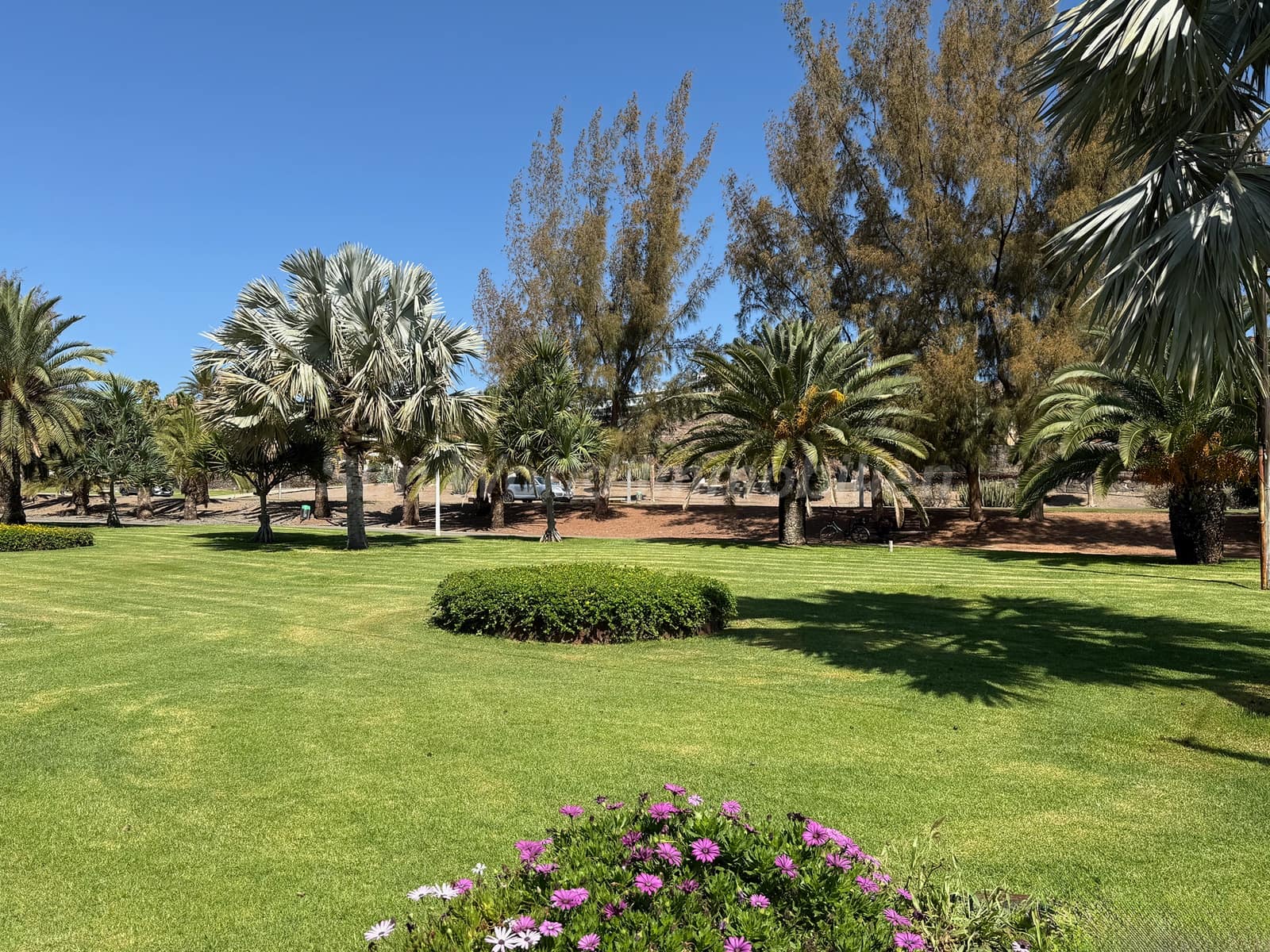 1 soverom Bungalow til leie i San Agustin - € 1 300 (Ref: 9977973)