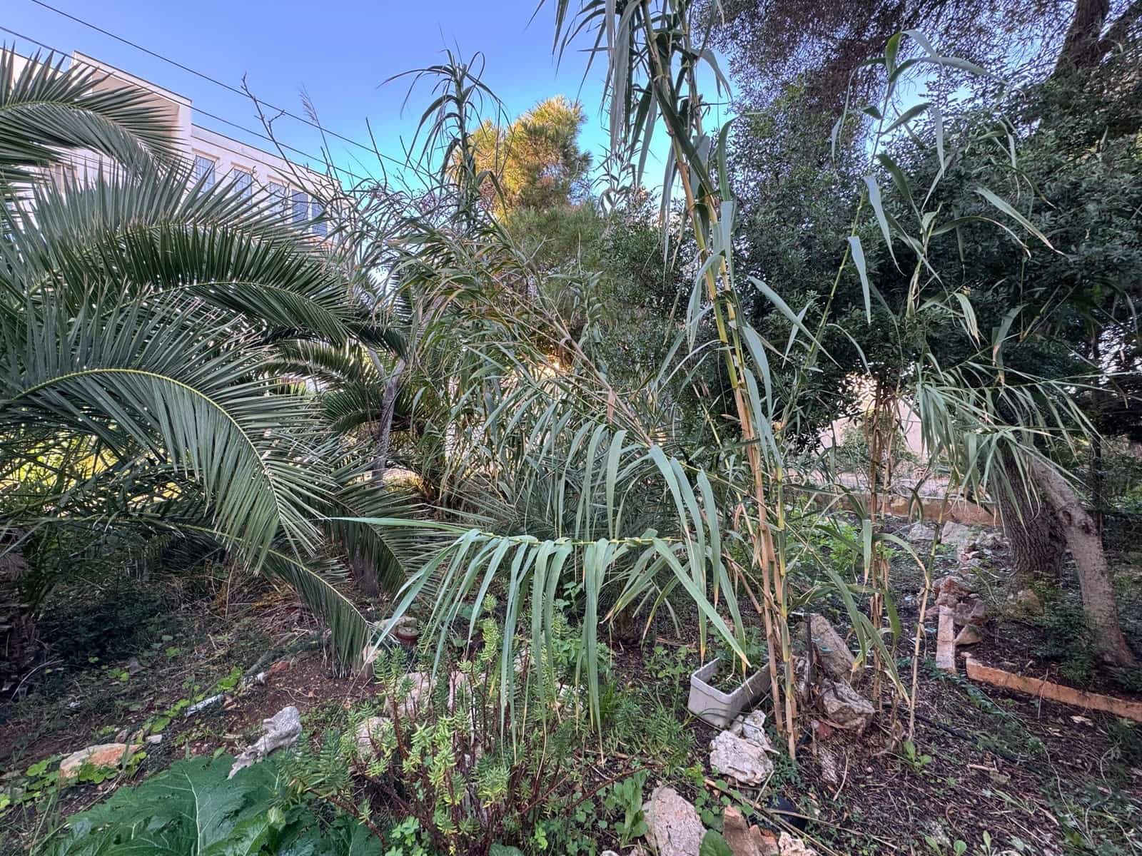 4 soveværelse Villa til salg i Cala Figuera - € 850.000 (Ref: 8716202)