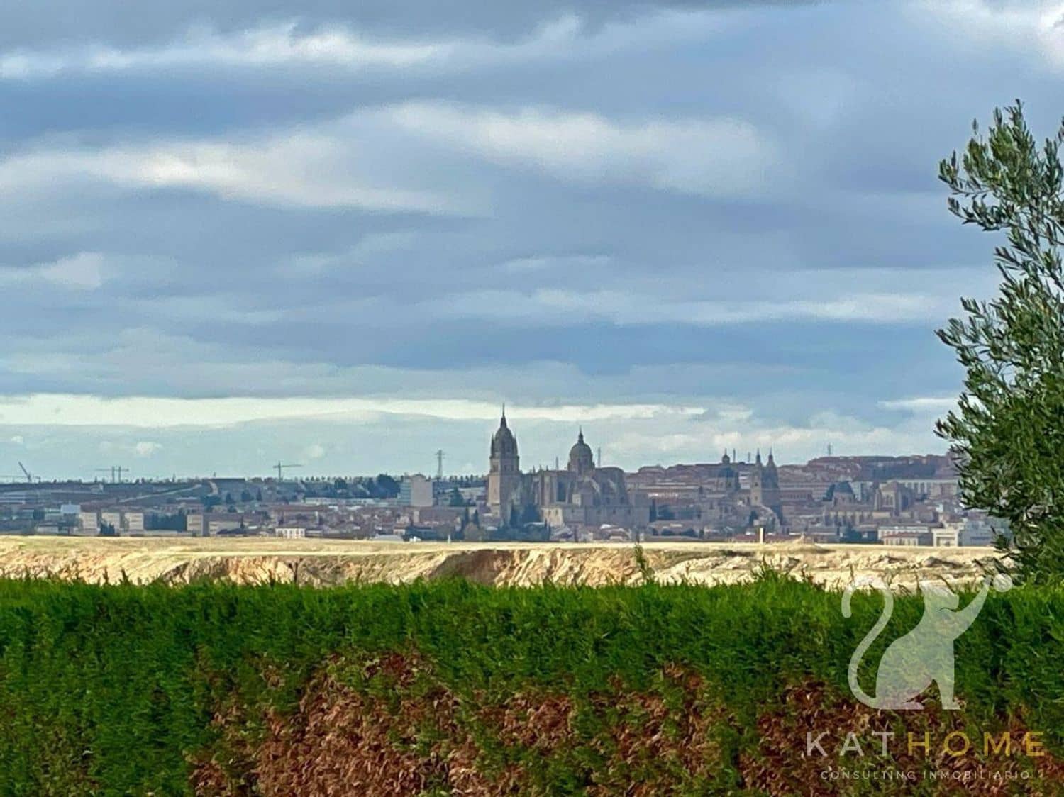 6 chambre Villa/Maison à vendre à Carbajosa de la Sagrada avec piscine garage - 890 000 € (Ref: 8510837)