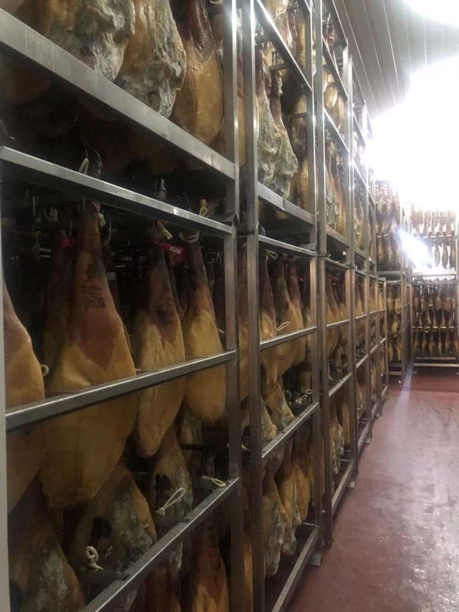 Business for sale in Aliseda - € 2,850,000 (Ref: 8510843)