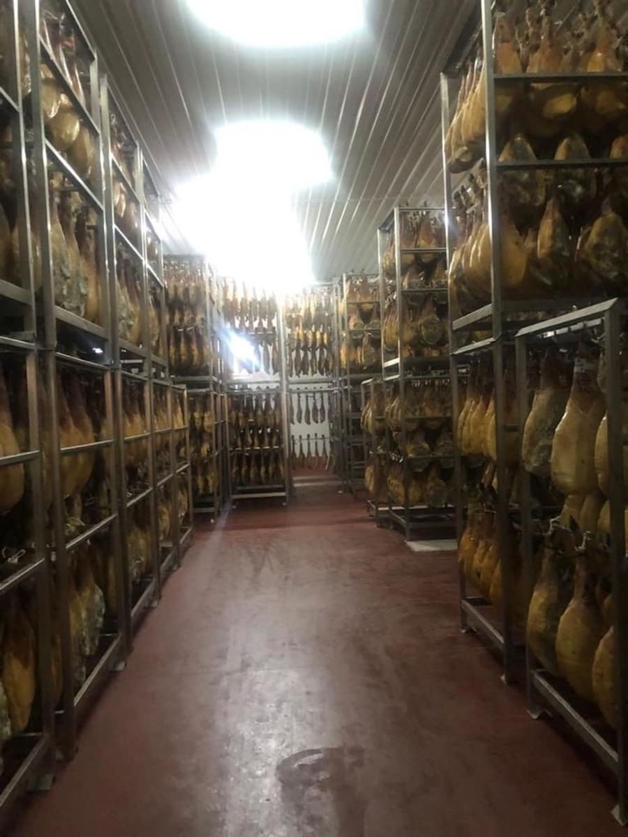 Business for sale in Aliseda - € 2,850,000 (Ref: 8510843)