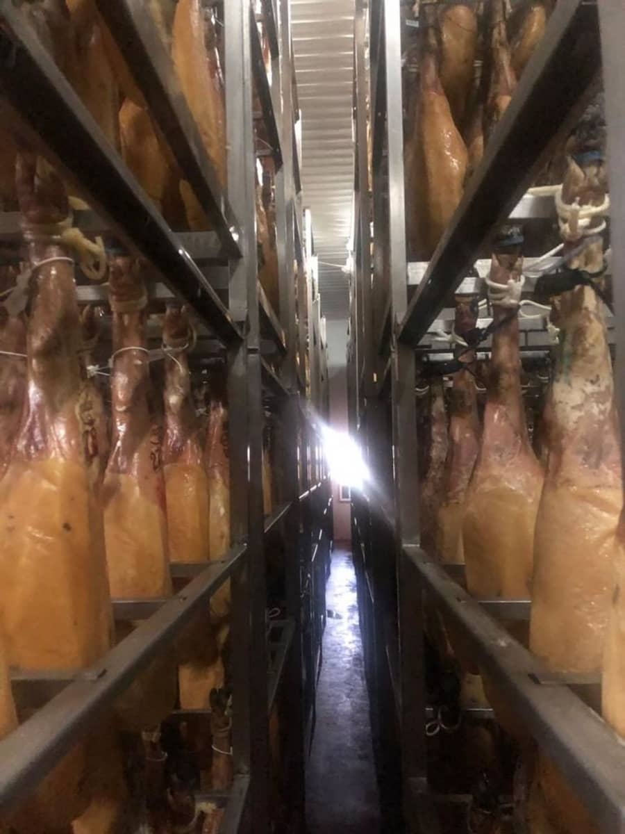 Business for sale in Aliseda - € 2,850,000 (Ref: 8510843)