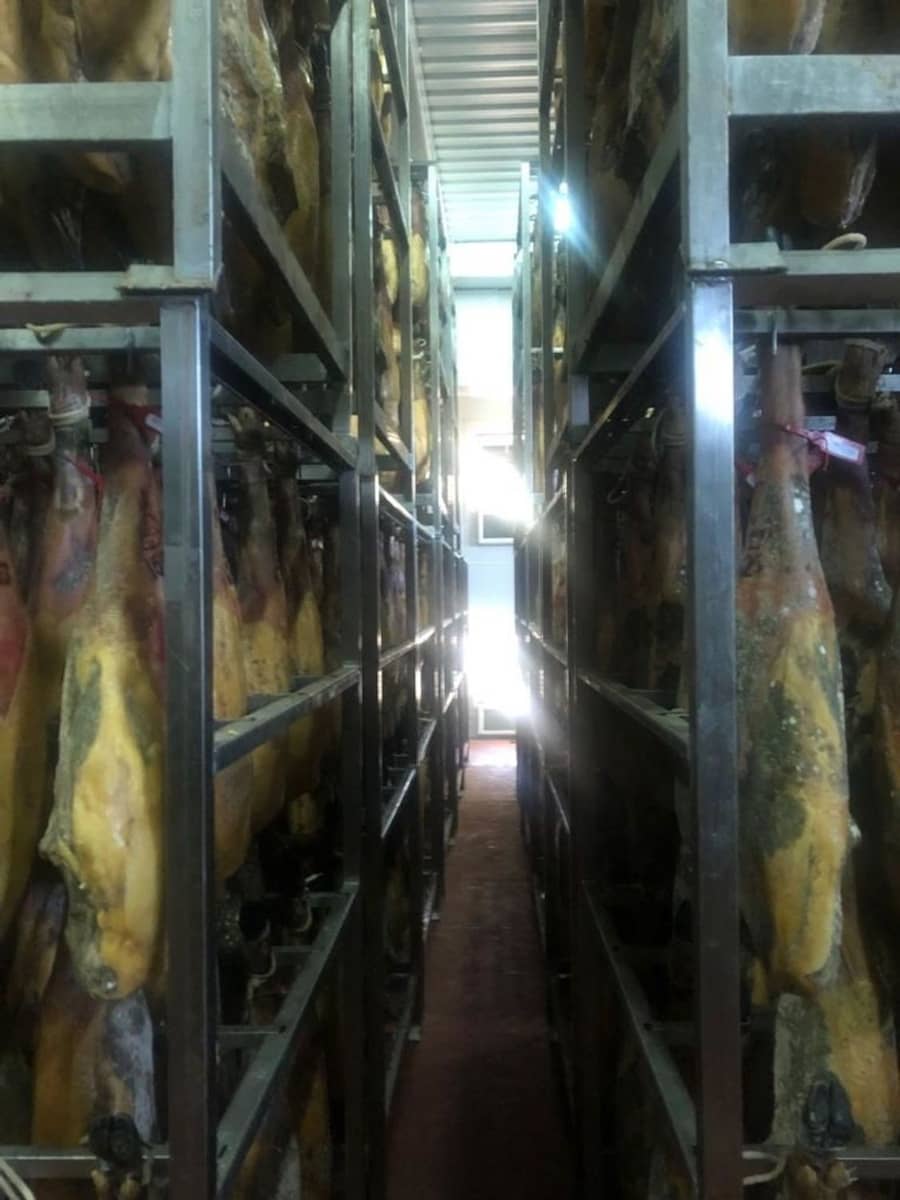 Business for sale in Aliseda - € 2,850,000 (Ref: 8510843)