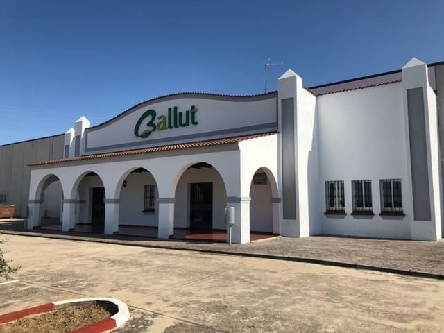 Virksomhed til salg i Aliseda - € 2.850.000 (Ref: 8510843)