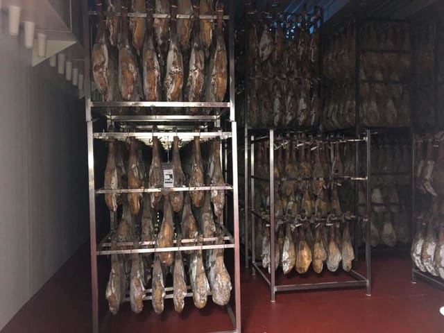 Virksomhed til salg i Aliseda - € 2.850.000 (Ref: 8510843)