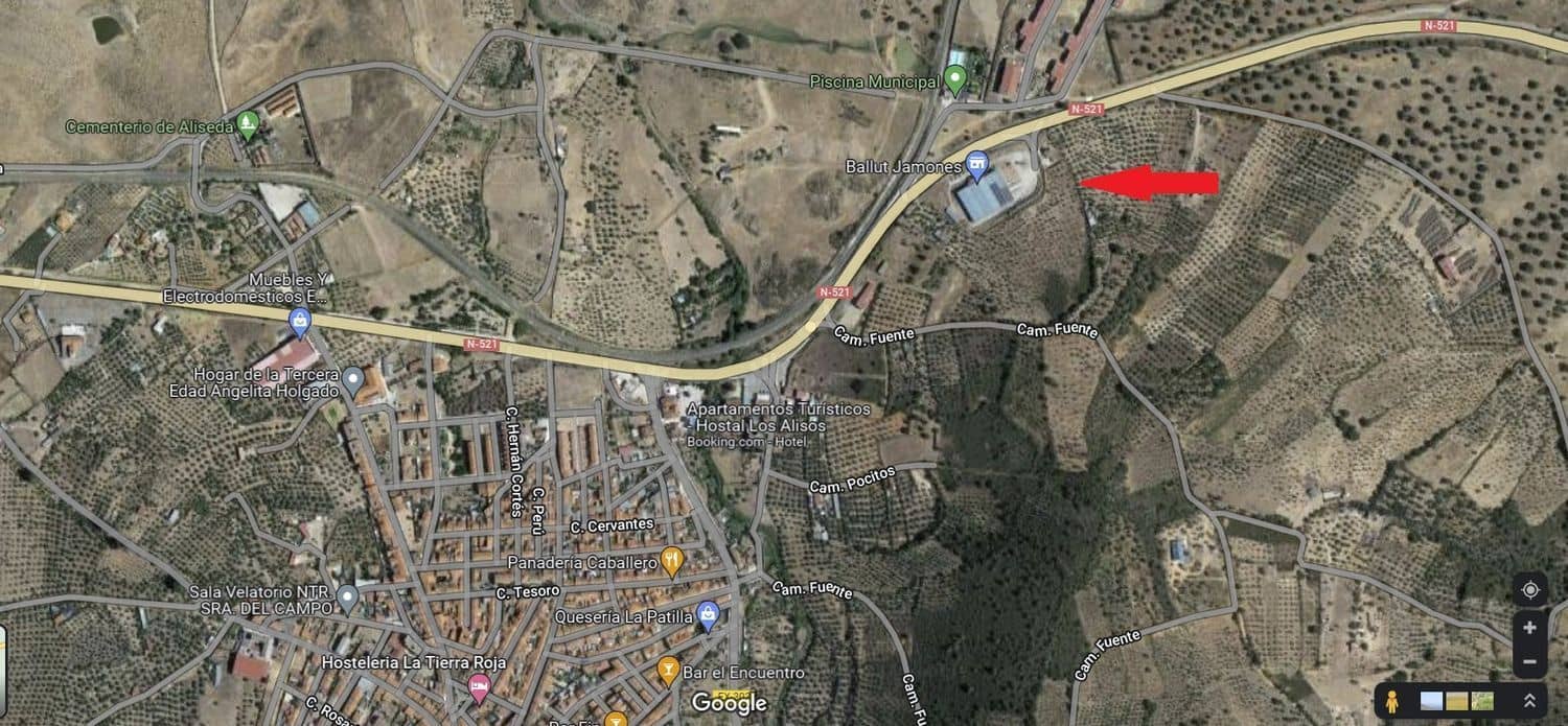 Business for sale in Aliseda - € 2,850,000 (Ref: 8510843)