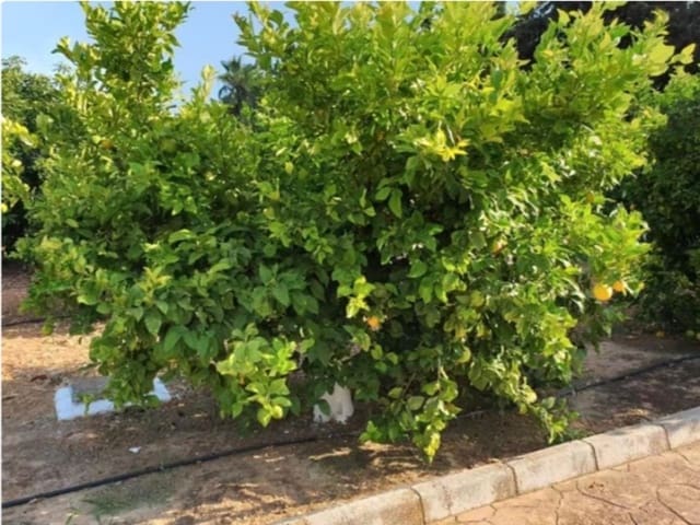 Finca/Casa Rural de 4 habitaciones en Alhaurín el Grande en venta con piscina garaje - 8.500.000 € (Ref: 8544921)