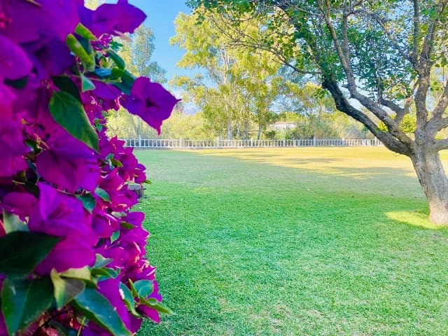 7 bedroom Villa for sale in San Pedro de Alcantara, Marbella - € 3,600,000 (Ref: 8564899)