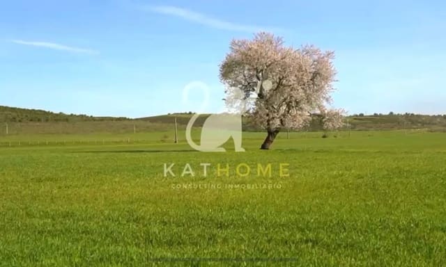 Grunde uden byggetilladelser til salg i Zamora by - € 4.900.000 (Ref: 8612849)