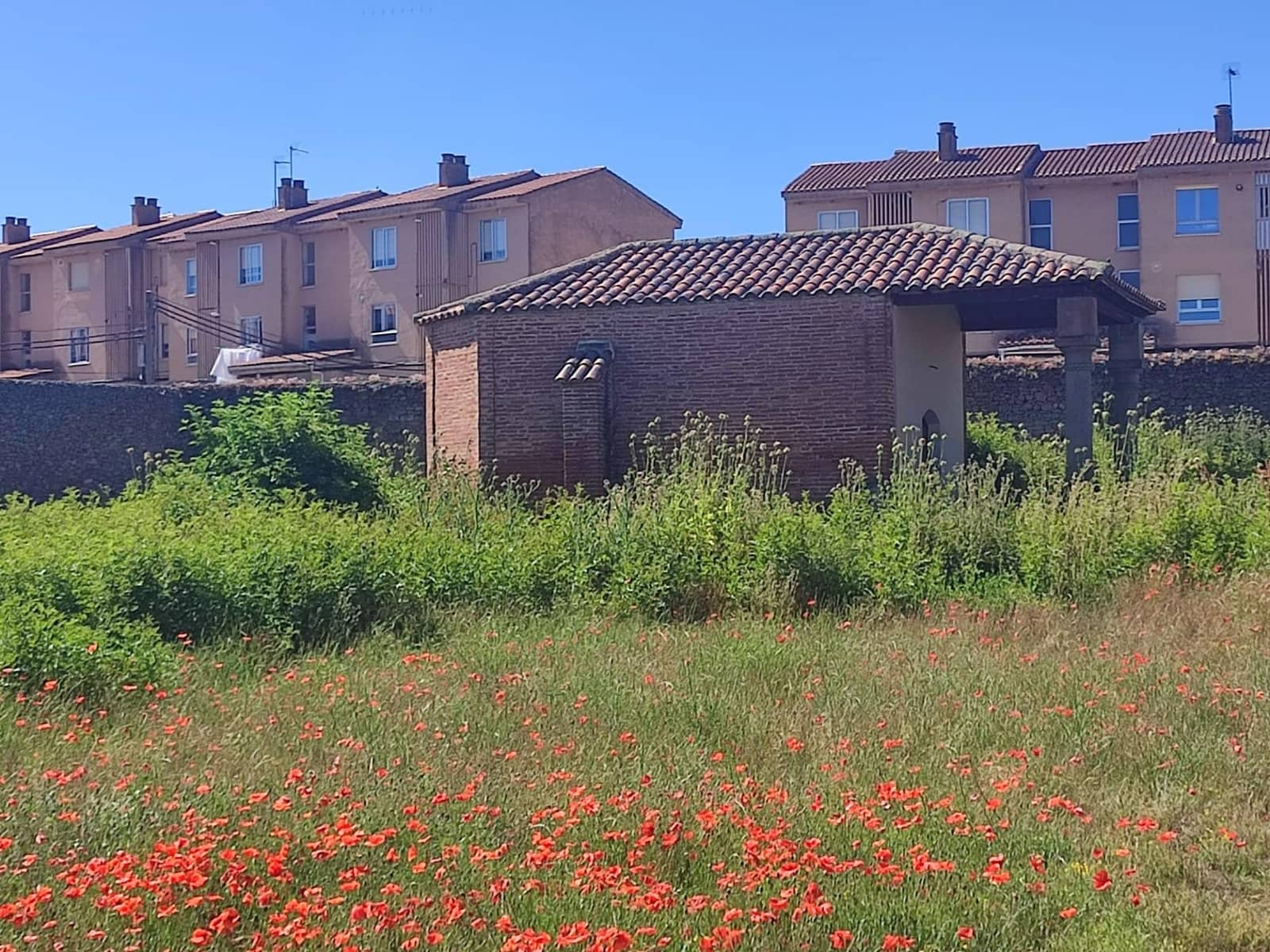 40 camera da letto Hotel in vendita in Ledesma - 540.000 € (Rif: 8612866)