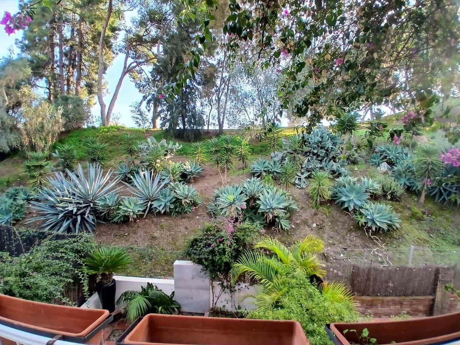 3 soverom Rekkehus til salgs i Aloha Golf med svømmebasseng garasje - € 543 000 (Ref: 8689216)