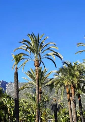 6 slaapkamer Villa te koop in Los Naranjos, Marbella met zwembad garage - € 3.650.000 (Ref: 8784016)