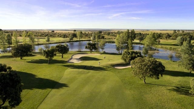 4 bedroom Villa for sale in Carrascal de Barregas with pool garage - € 366,900 (Ref: 9206837)