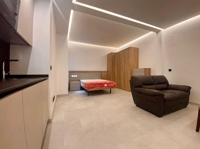 1 sypialnia Studio do wynajęcia w Miasto Salamanka - 750 € (Ref: 9285243)