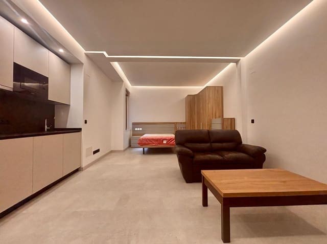 1 sypialnia Studio do wynajęcia w Miasto Salamanka - 750 € (Ref: 9285243)