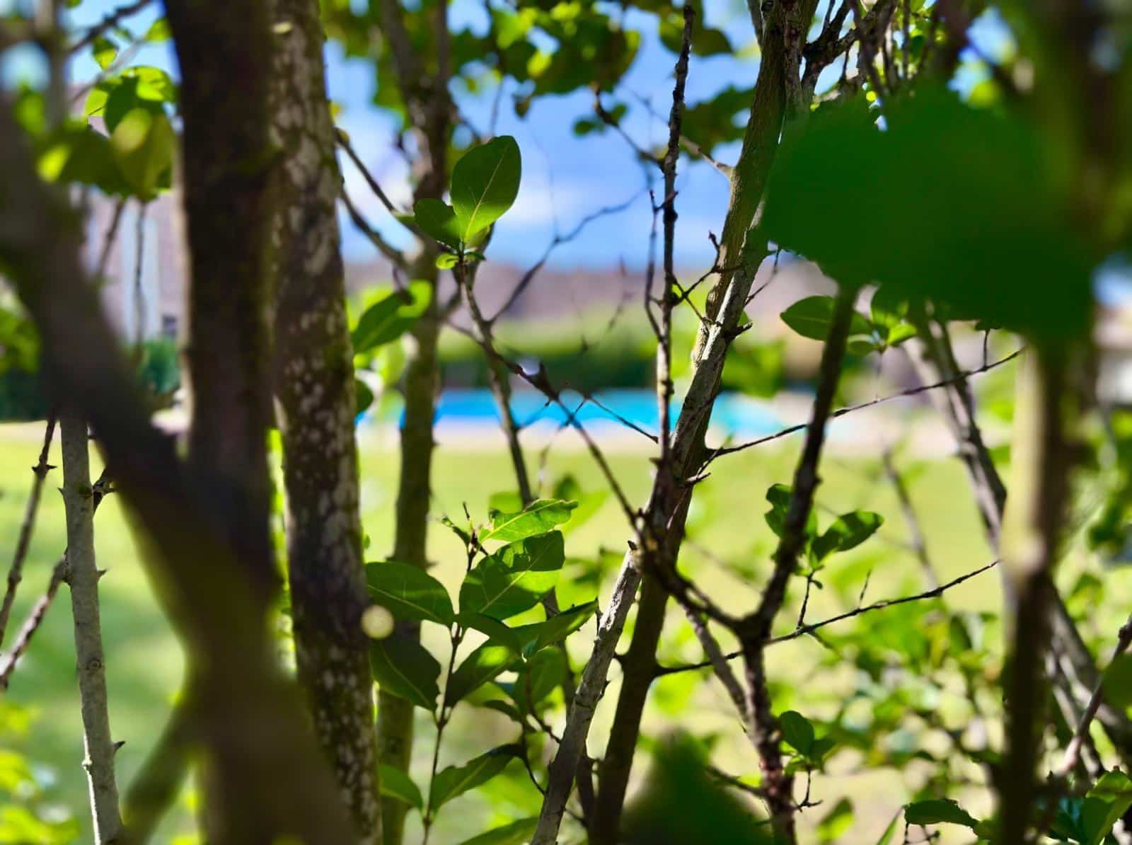 4 soveværelse Villa til salg i Villamayor med swimmingpool garage - € 325.000 (Ref: 9449210)