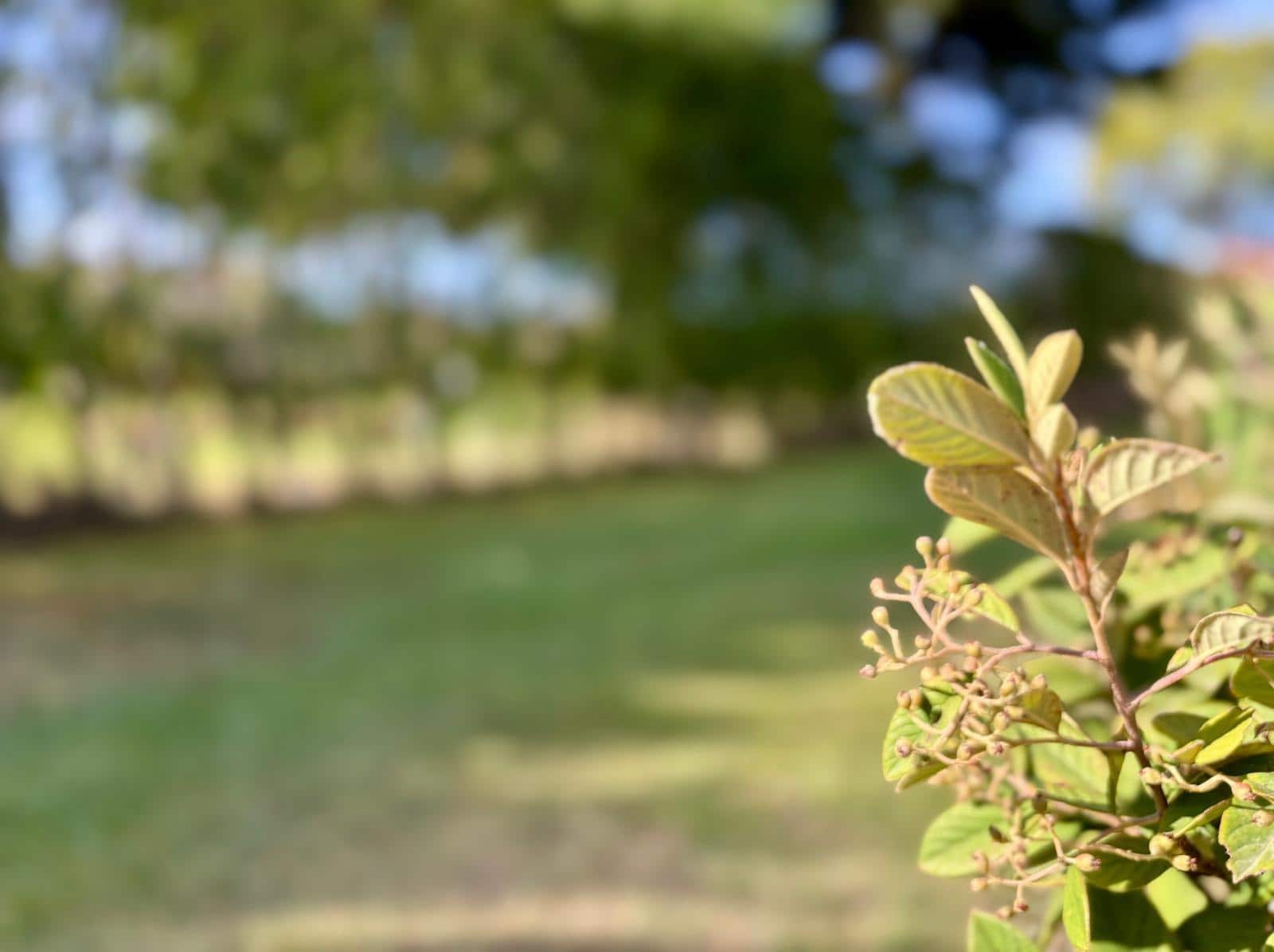 4 sovrum Villa till salu i Villamayor med pool garage - 325 000 € (Ref: 9449210)