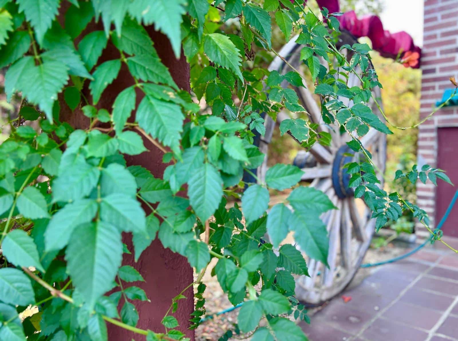 4 sovrum Villa till salu i Villamayor med pool garage - 325 000 € (Ref: 9449210)