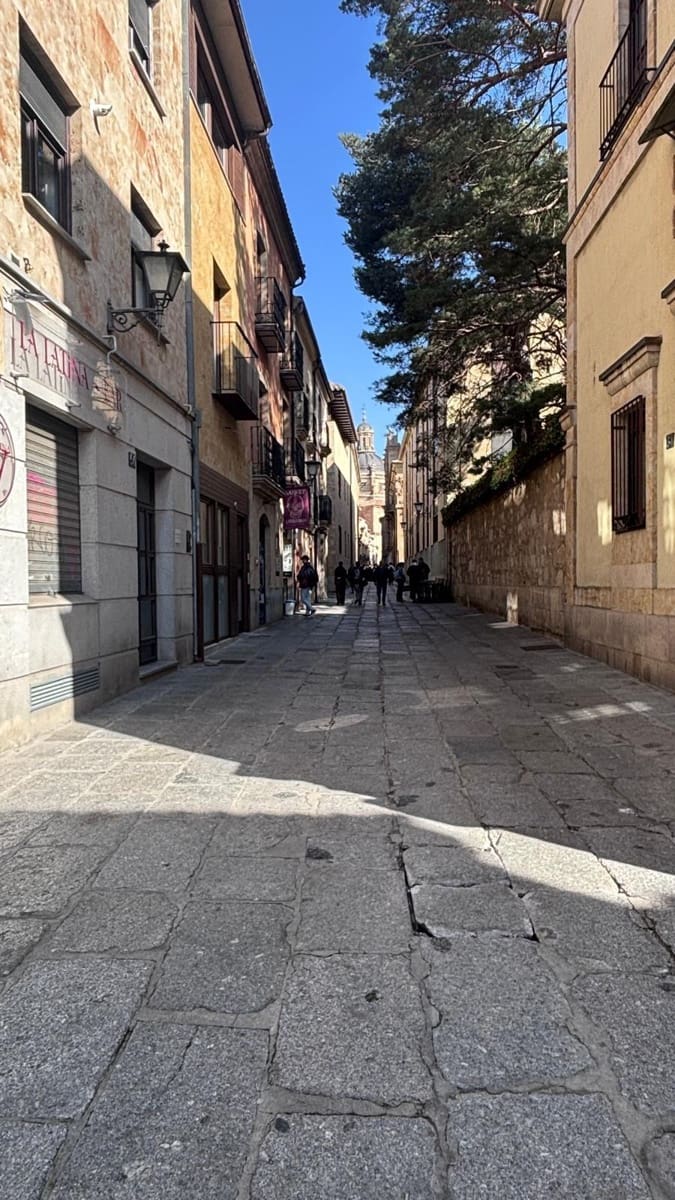 Commercial for sale in Salamanca city - € 480,000 (Ref: 9666540)