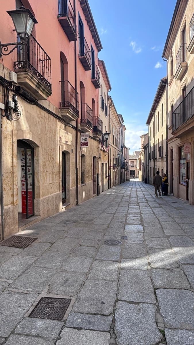 Commercial for sale in Salamanca city - € 480,000 (Ref: 9666540)