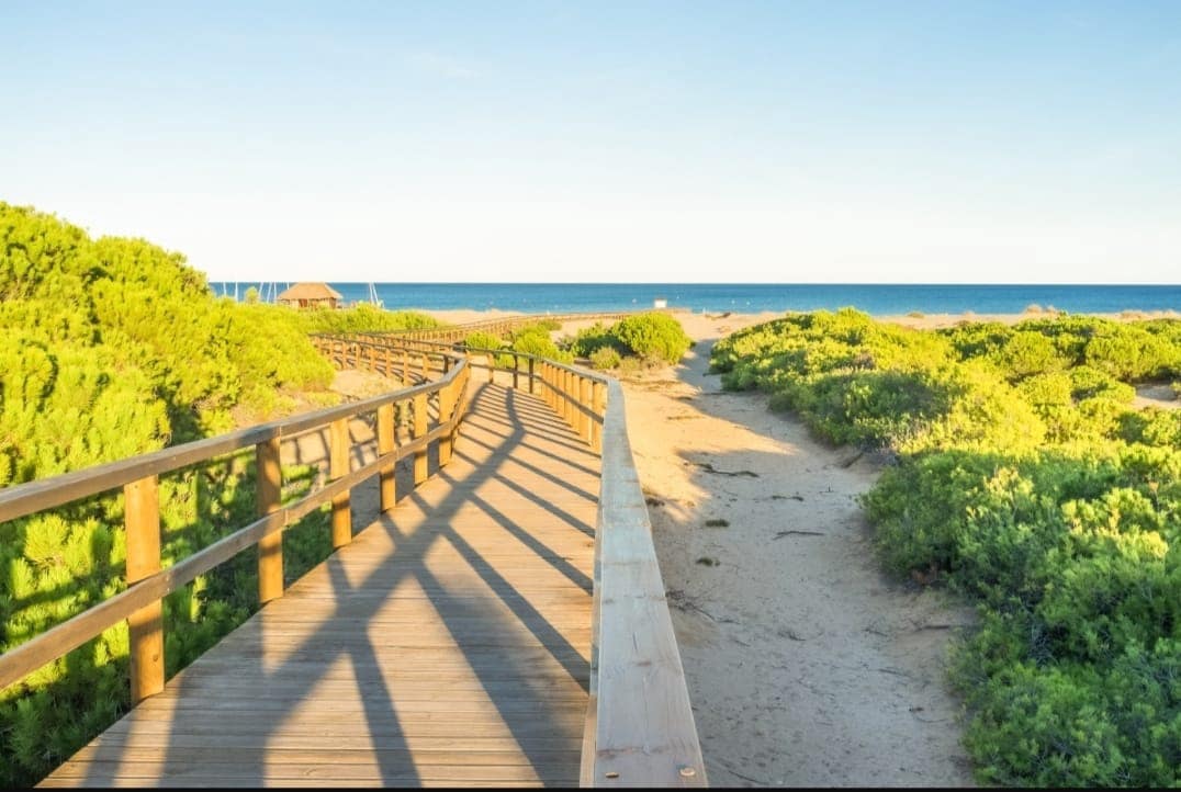 2 bedroom Apartment for rent in Arenales del Sol with pool garage - € 900 (Ref: 9440292)