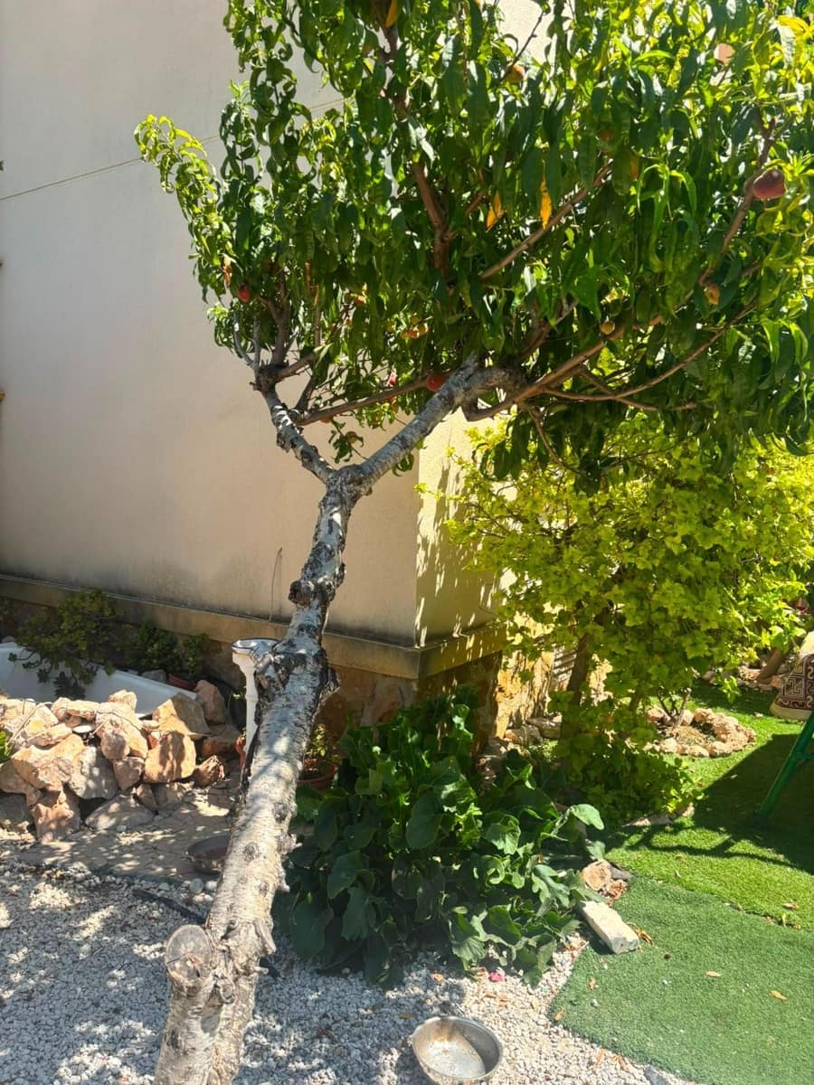 2 chambre Bungalow à vendre à Orihuela Costa avec piscine - 225 000 € (Ref: 10025905)