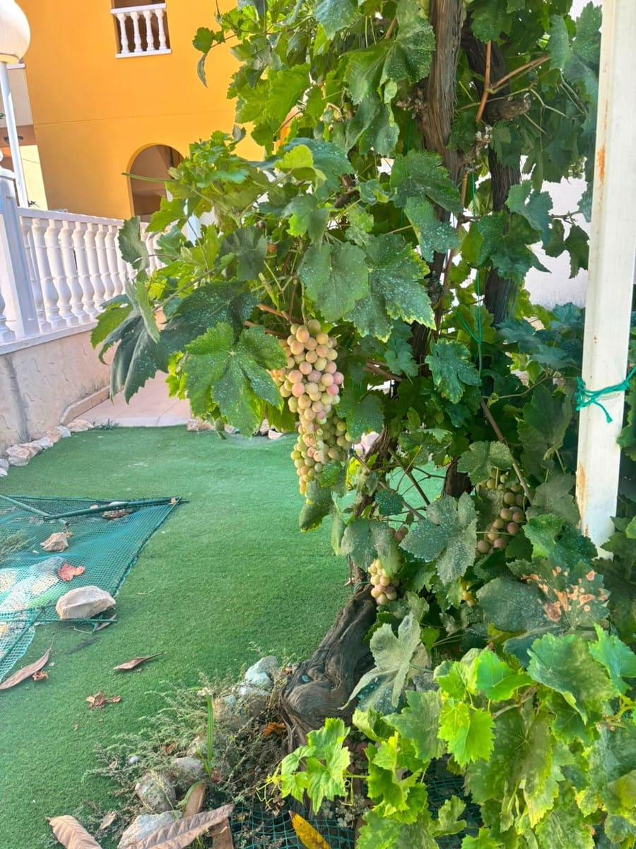 2 chambre Bungalow à vendre à Orihuela Costa avec piscine - 225 000 € (Ref: 10025905)
