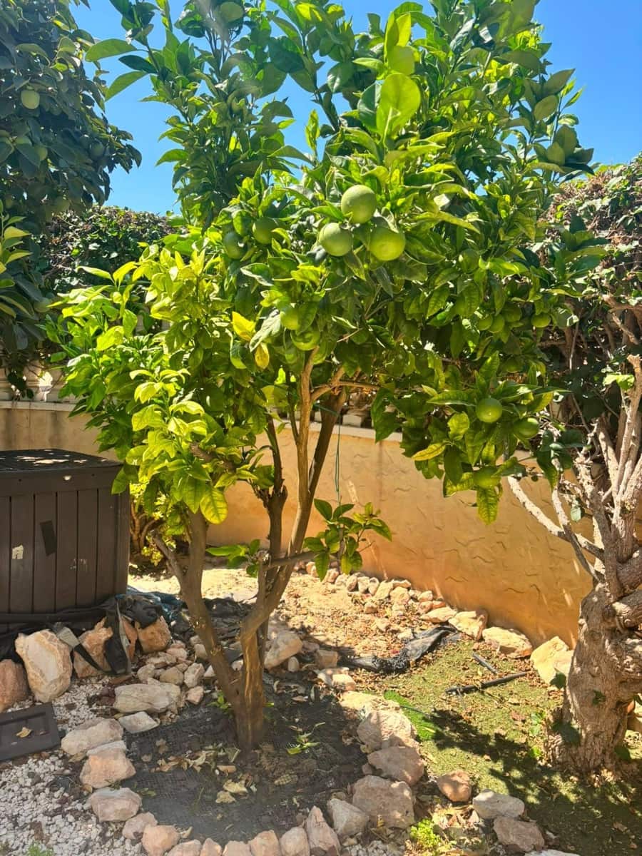 2 chambre Bungalow à vendre à Orihuela Costa avec piscine - 225 000 € (Ref: 10025905)
