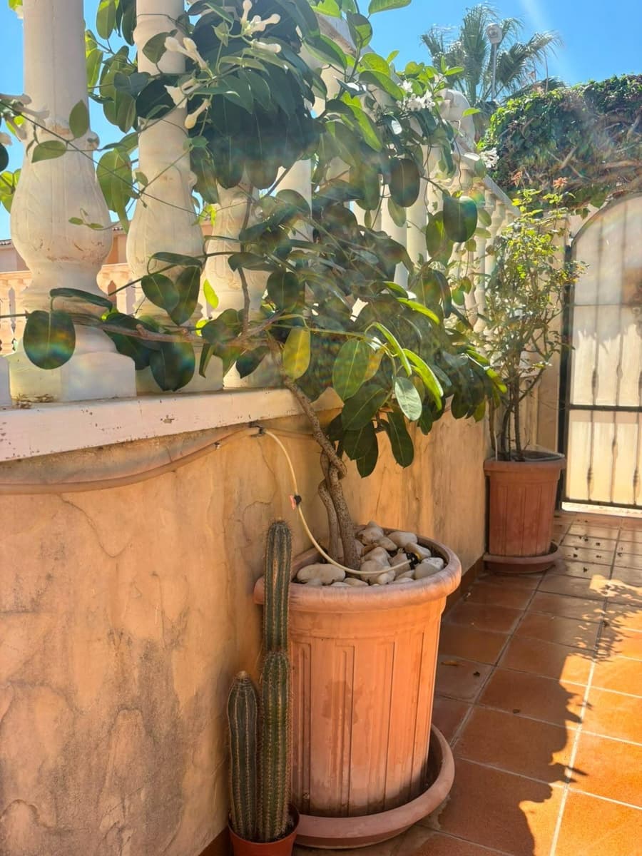 2 chambre Bungalow à vendre à Orihuela Costa avec piscine - 225 000 € (Ref: 10025905)