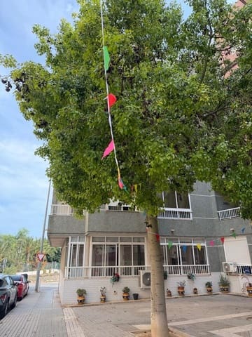 3 camera da letto Appartamento in vendita in La Marina, Elche / Elx - 160.000 € (Rif: 10131807)