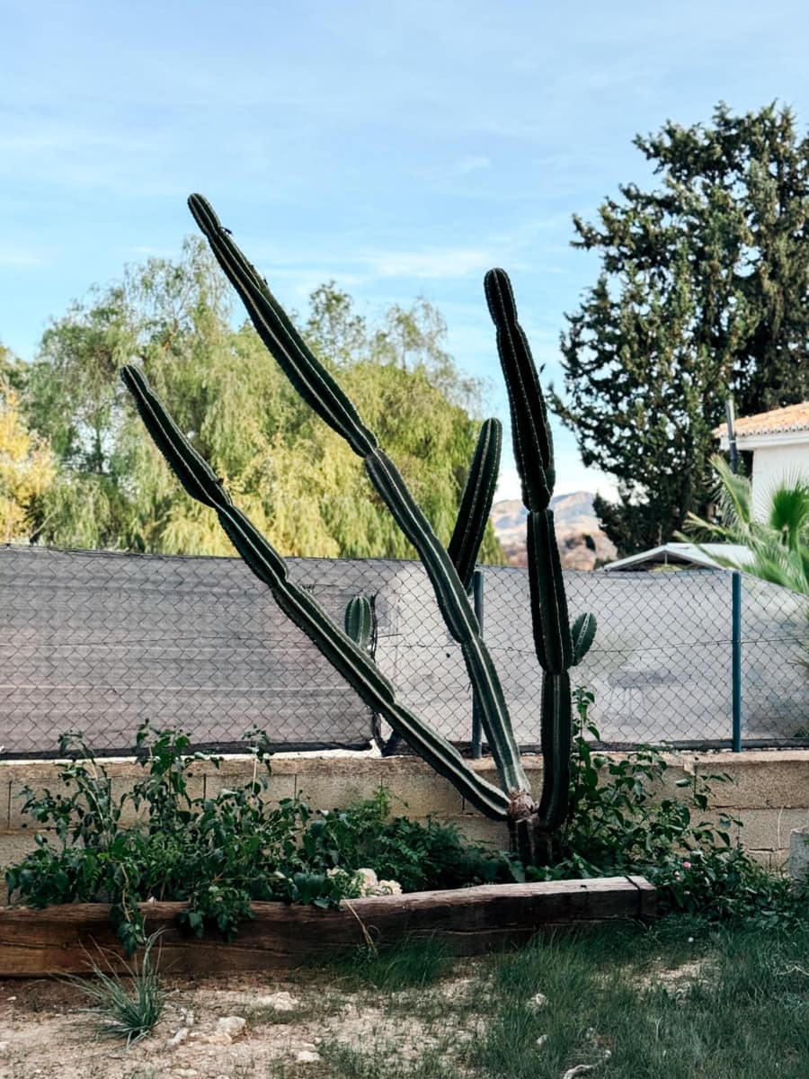 4 sypialnia Willa na sprzedaż w Fortuna z basenem garażem - 217 500 € (Ref: 9386162)