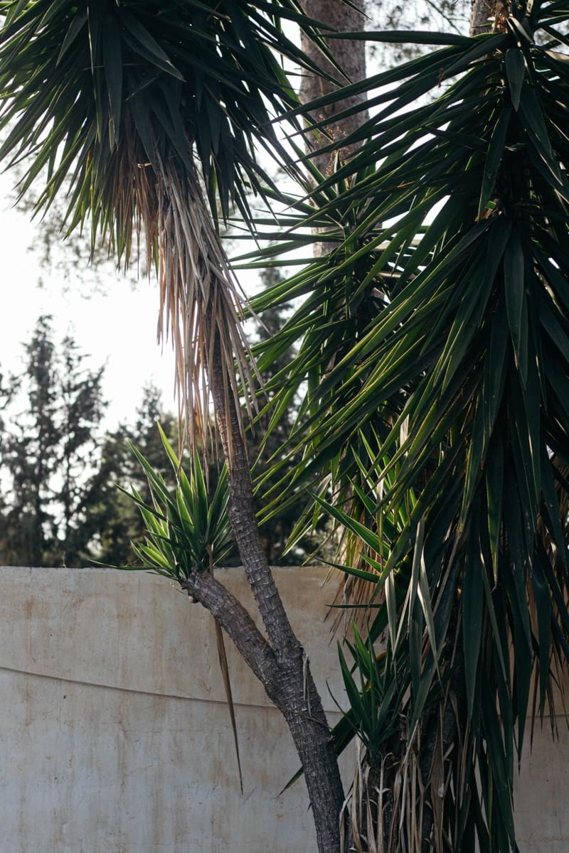 4 sypialnia Willa na sprzedaż w Fortuna z basenem garażem - 217 500 € (Ref: 9386162)