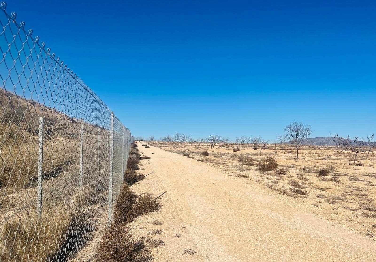 Building Plot for sale in Pinoso - € 536,500 (Ref: 9450444)