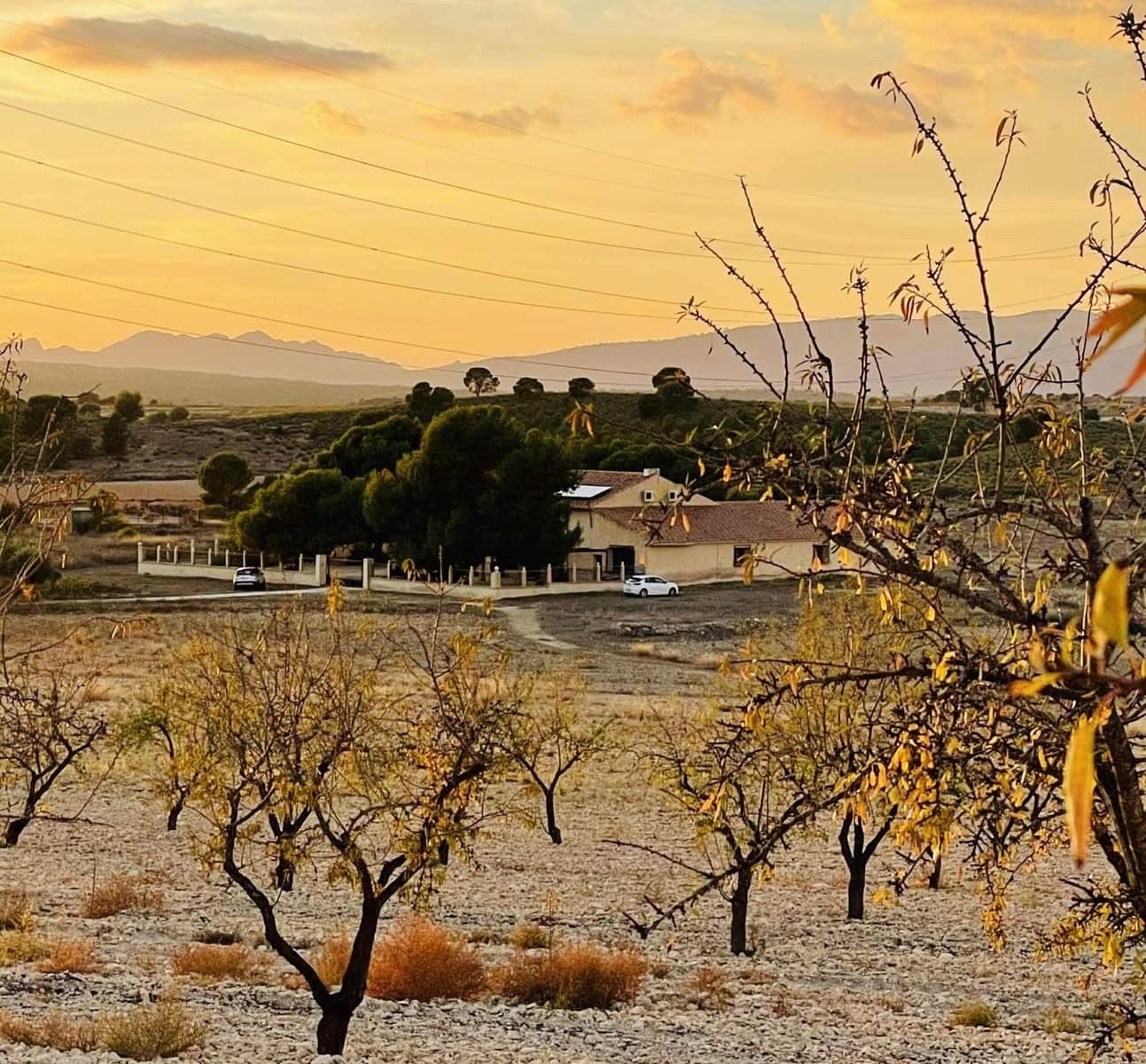 Building Plot for sale in Pinoso - € 536,500 (Ref: 9450444)