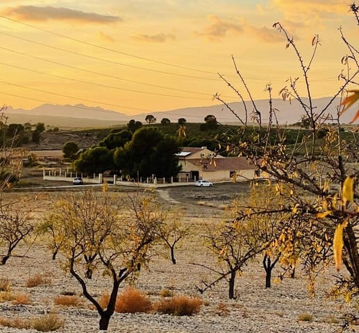 Byggetomt til salgs i Pinoso - € 536 500 (Ref: 9450444)