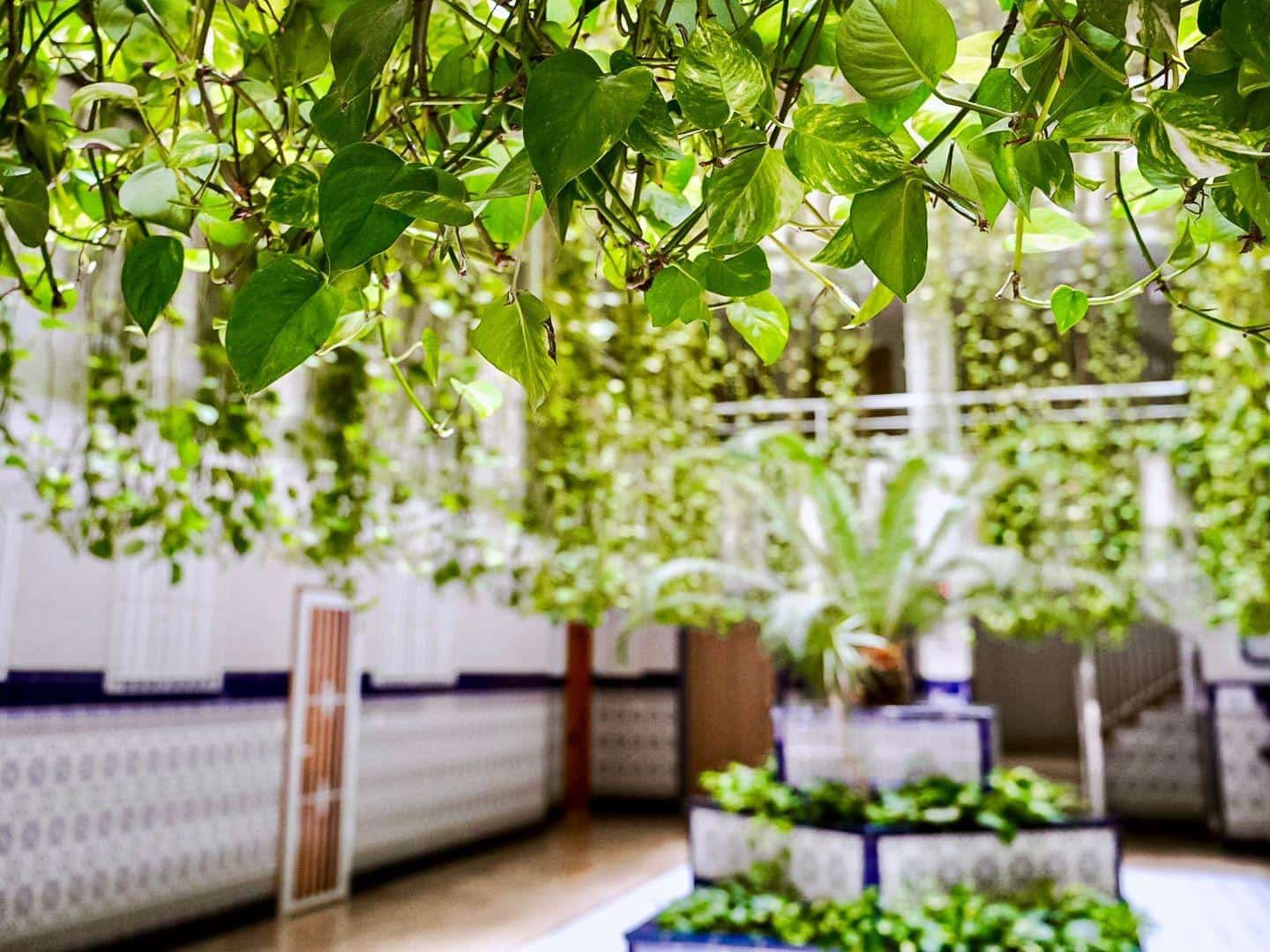 Appartement de 2 chambres à louer à Torrevieja - 700 € (Ref: 9528014)