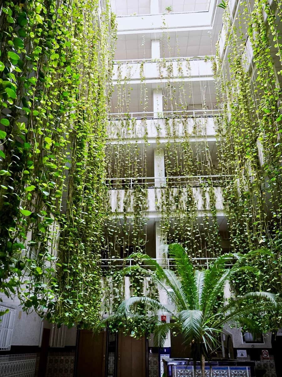 Appartement de 2 chambres à louer à Torrevieja - 700 € (Ref: 9528014)