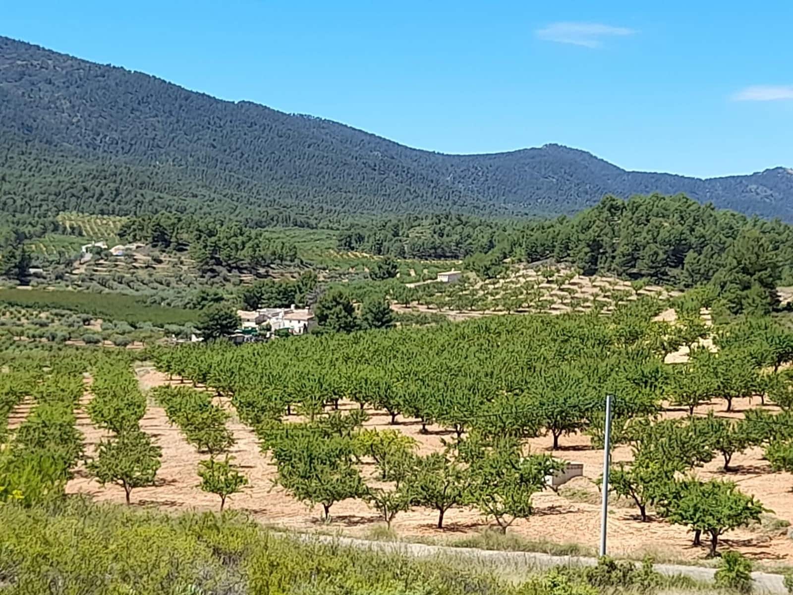 5 soverom Rekkehus til salgs i Bullas - € 57 000 (Ref: 9648379)