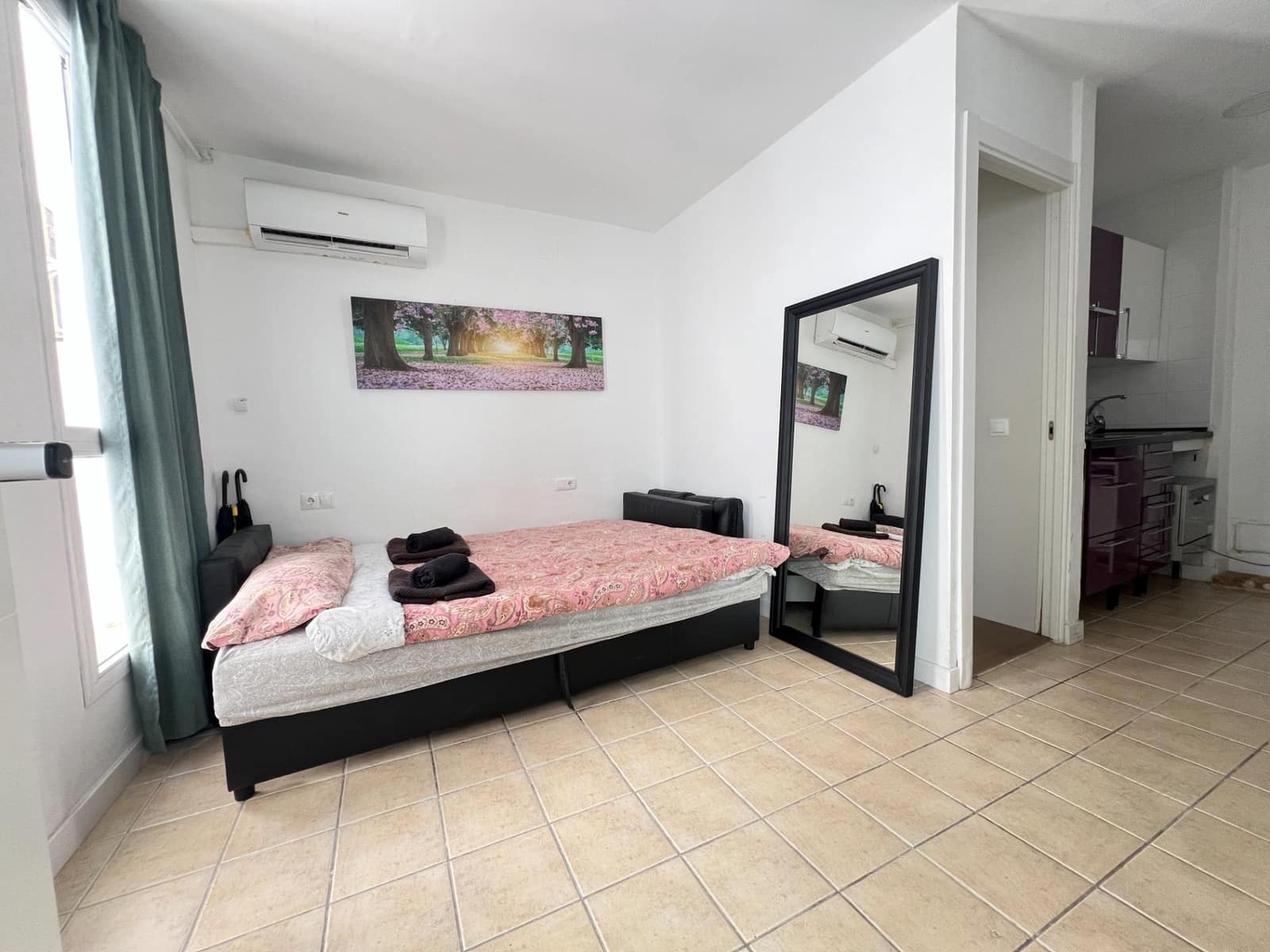 5 slaapkamer Appartement te koop in Malaga stad - € 1.400.000 (Ref: 10004134)