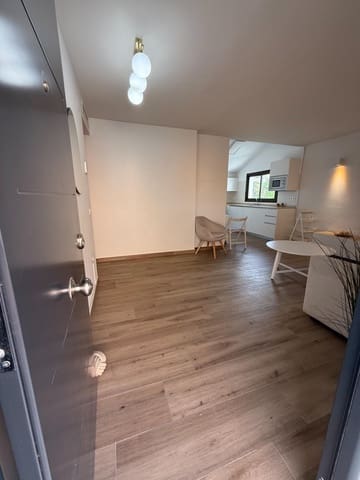 Apartamento de 2 habitaciones en Pedregalejo, Málaga ciudad en alquiler con garaje - 1.300 € (Ref: 10062201)