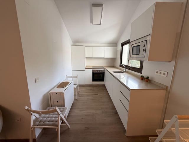 Apartamento de 2 habitaciones en Pedregalejo, Málaga ciudad en alquiler con garaje - 1.300 € (Ref: 10062201)