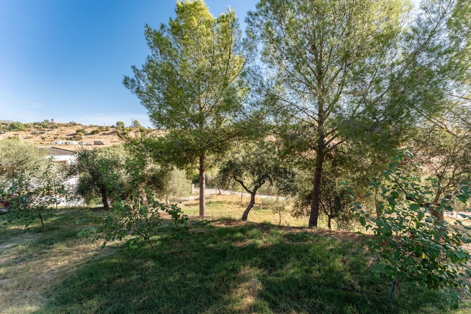 2 camera da letto Finca/Casa di Campagna in vendita in Pizarra con piscina - 480.000 € (Rif: 10100412)