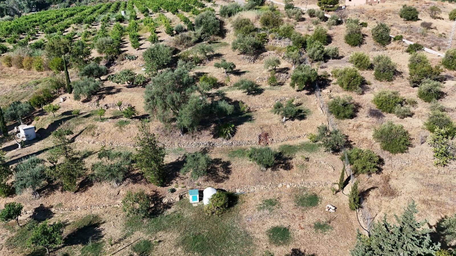 2 camera da letto Finca/Casa di Campagna in vendita in Pizarra con piscina - 480.000 € (Rif: 10100412)