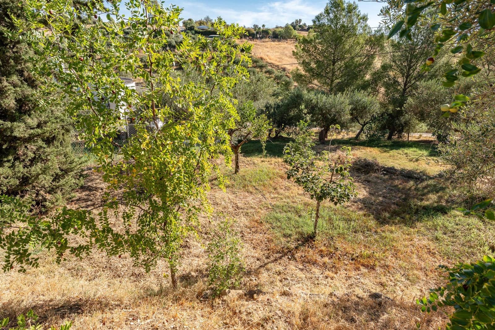 2 camera da letto Finca/Casa di Campagna in vendita in Pizarra con piscina - 480.000 € (Rif: 10100412)