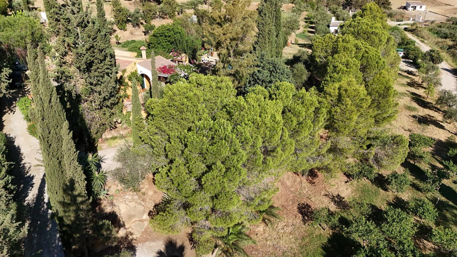 2 camera da letto Finca/Casa di Campagna in vendita in Pizarra con piscina - 480.000 € (Rif: 10100412)