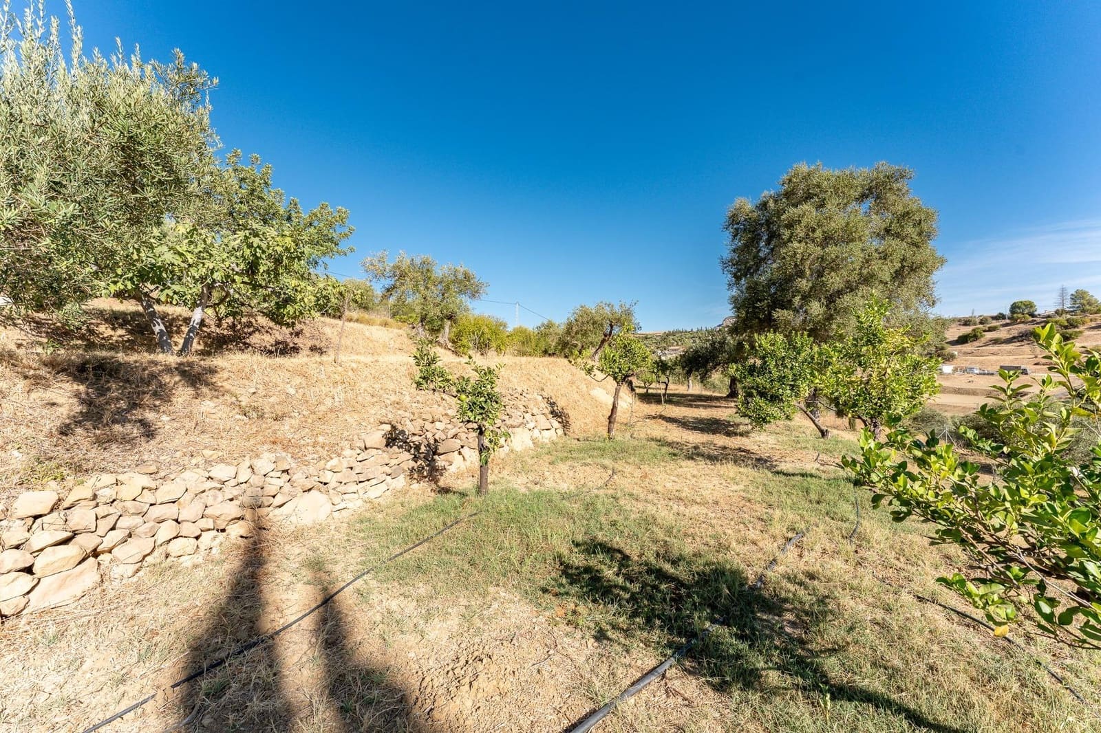 2 camera da letto Finca/Casa di Campagna in vendita in Pizarra con piscina - 480.000 € (Rif: 10100412)