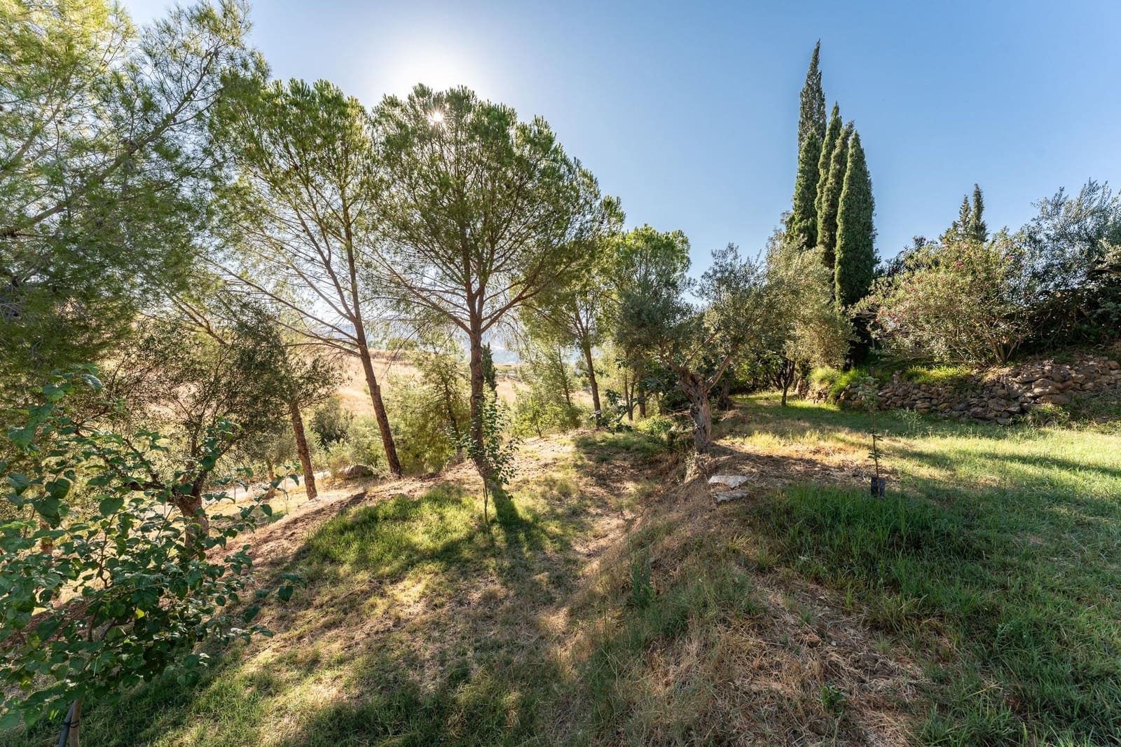 2 camera da letto Finca/Casa di Campagna in vendita in Pizarra con piscina - 480.000 € (Rif: 10100412)