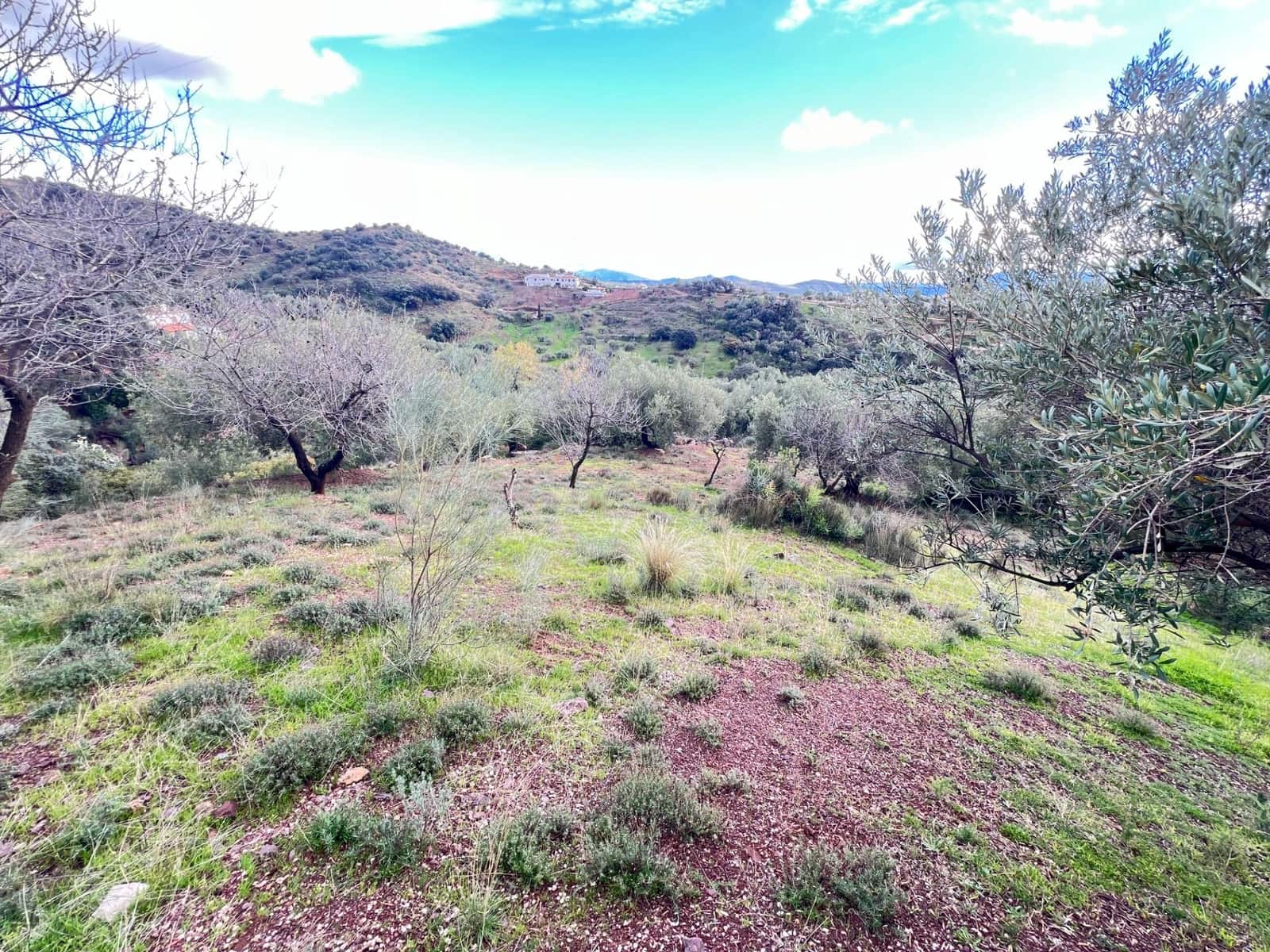 Finca/Maison de Campagne à vendre à Riogordo - 95 000 € (Ref: 10109920)